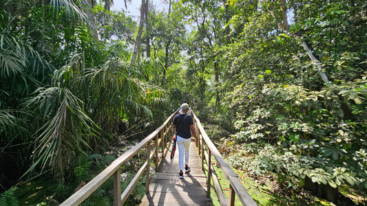 Nov. 2025 - ALL INCLUSIVE 10 Day Lagos Travel Experience